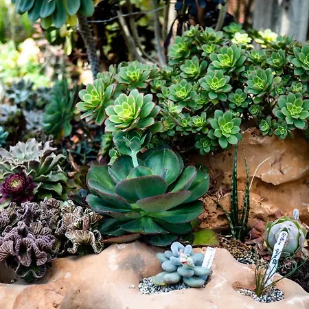 Irina 公寓 保洛兹瑙克