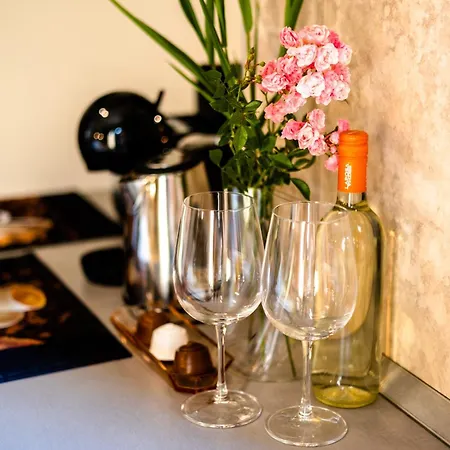 Irina 公寓 保洛兹瑙克