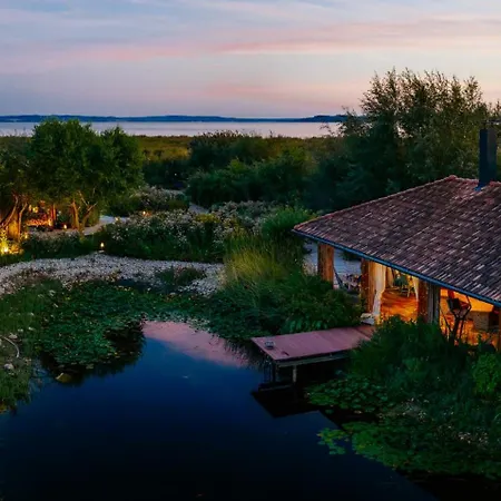 Irina 保洛兹瑙克