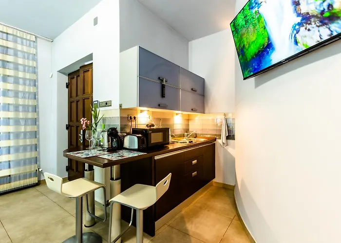 Irina Apartman *
